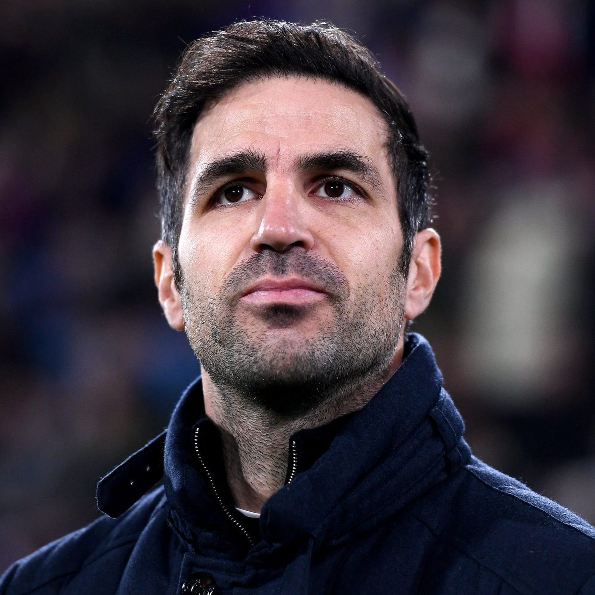 United Focus Indonesia tweet media