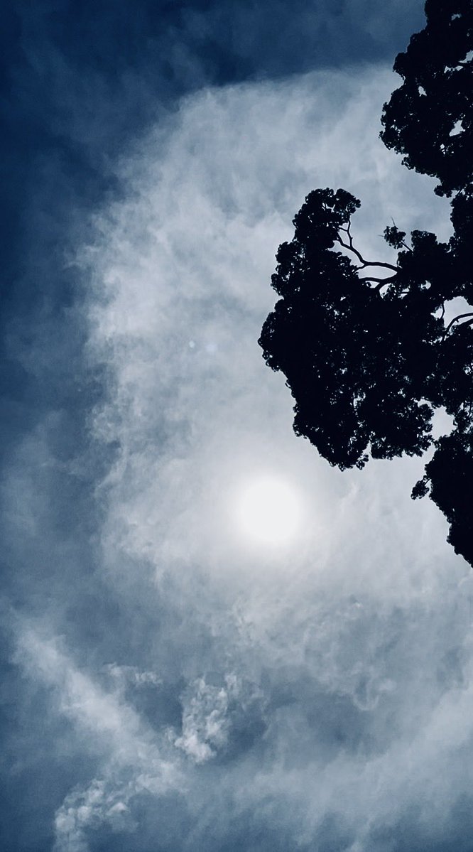 USABeachBlonde tweet media