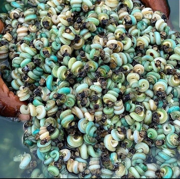 𝕯𝖎𝖛𝖎𝖓𝖊 𓆩♡𓆪 tweet media