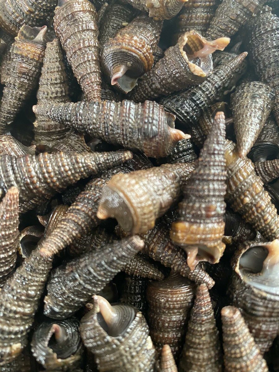 𝕯𝖎𝖛𝖎𝖓𝖊 𓆩♡𓆪 tweet media