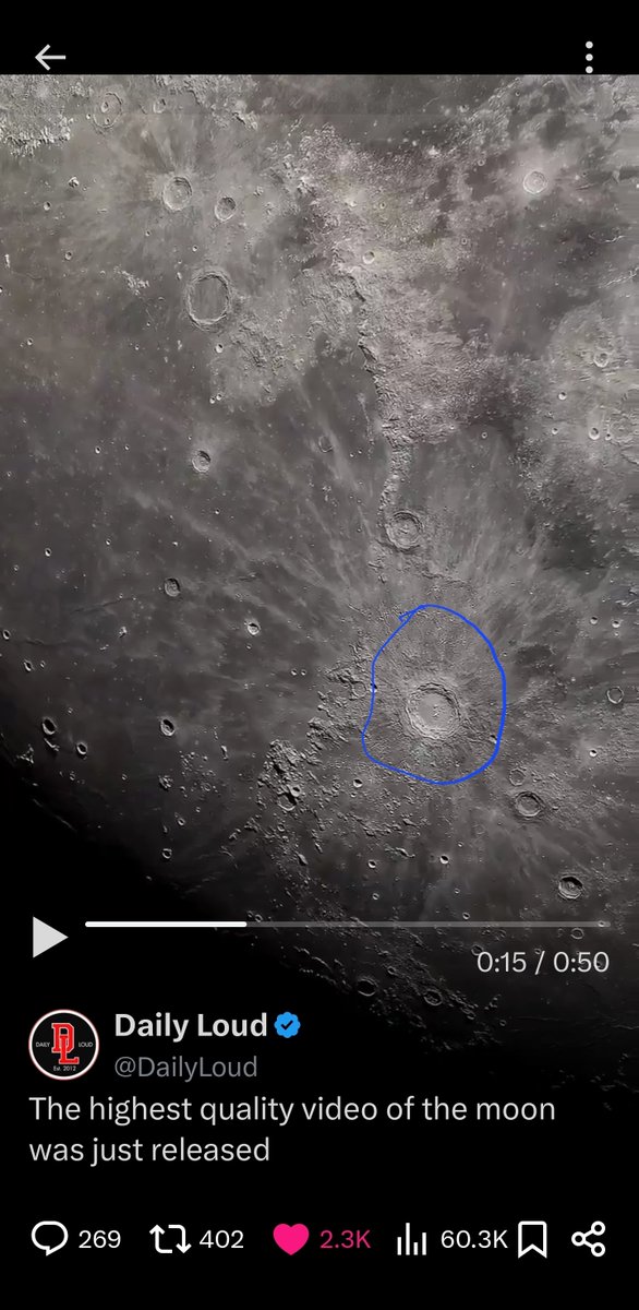 just nedu tweet media