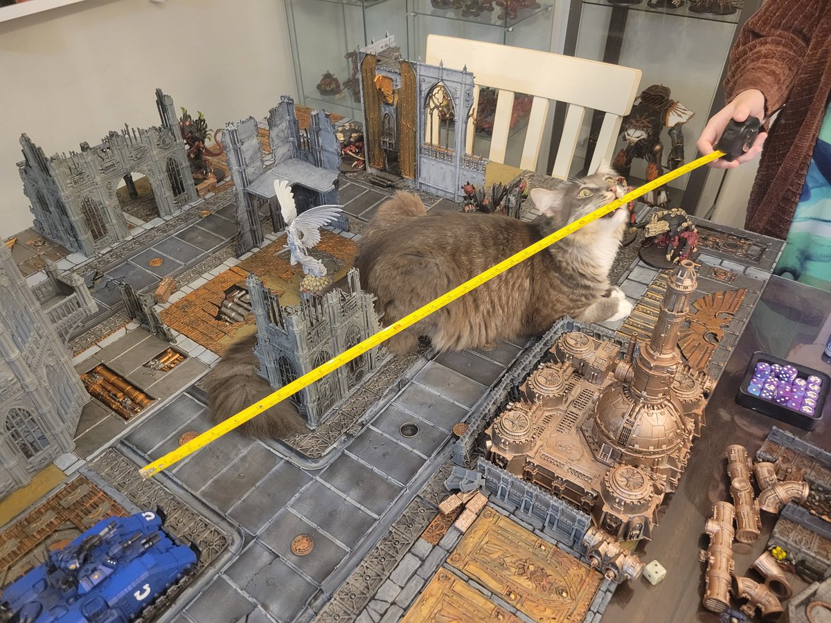 Norn-Queen Kya tweet media