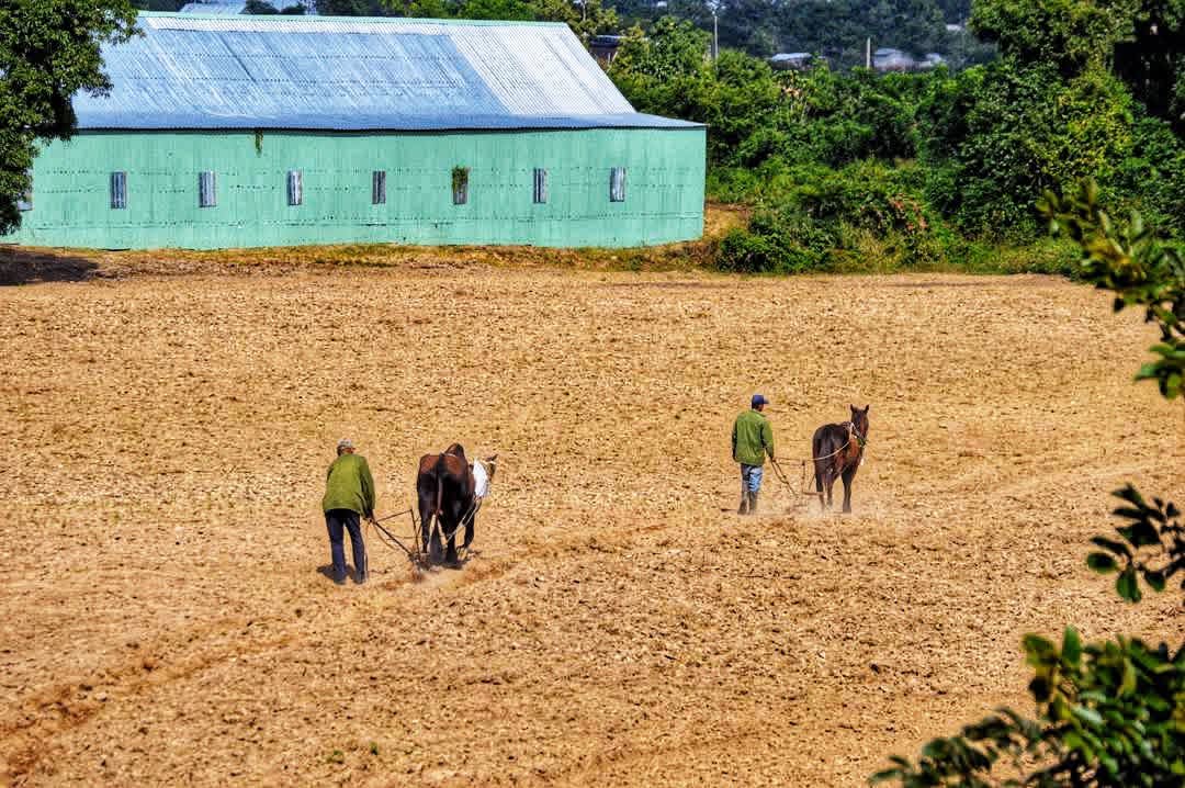 Eumelin González Sánchez tweet media