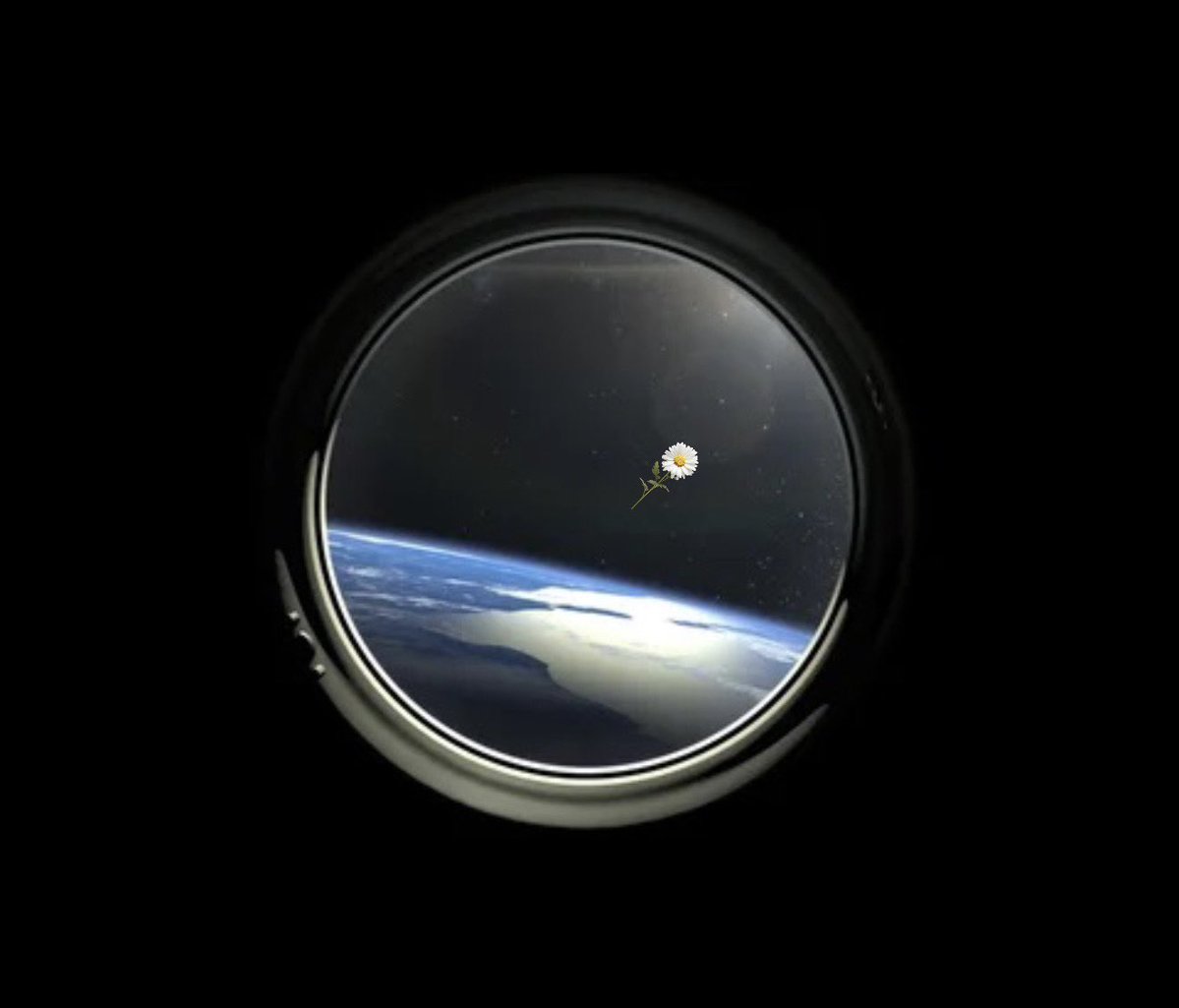 🅴 ＬＵＮＥ 🇵🇸 tweet media