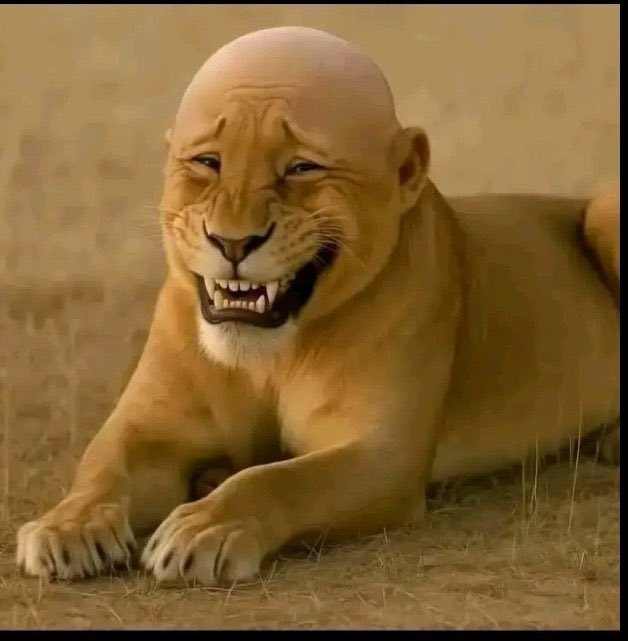 @Jomba Solutions tweet media