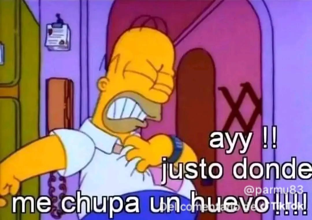 Marco Bravo tweet media