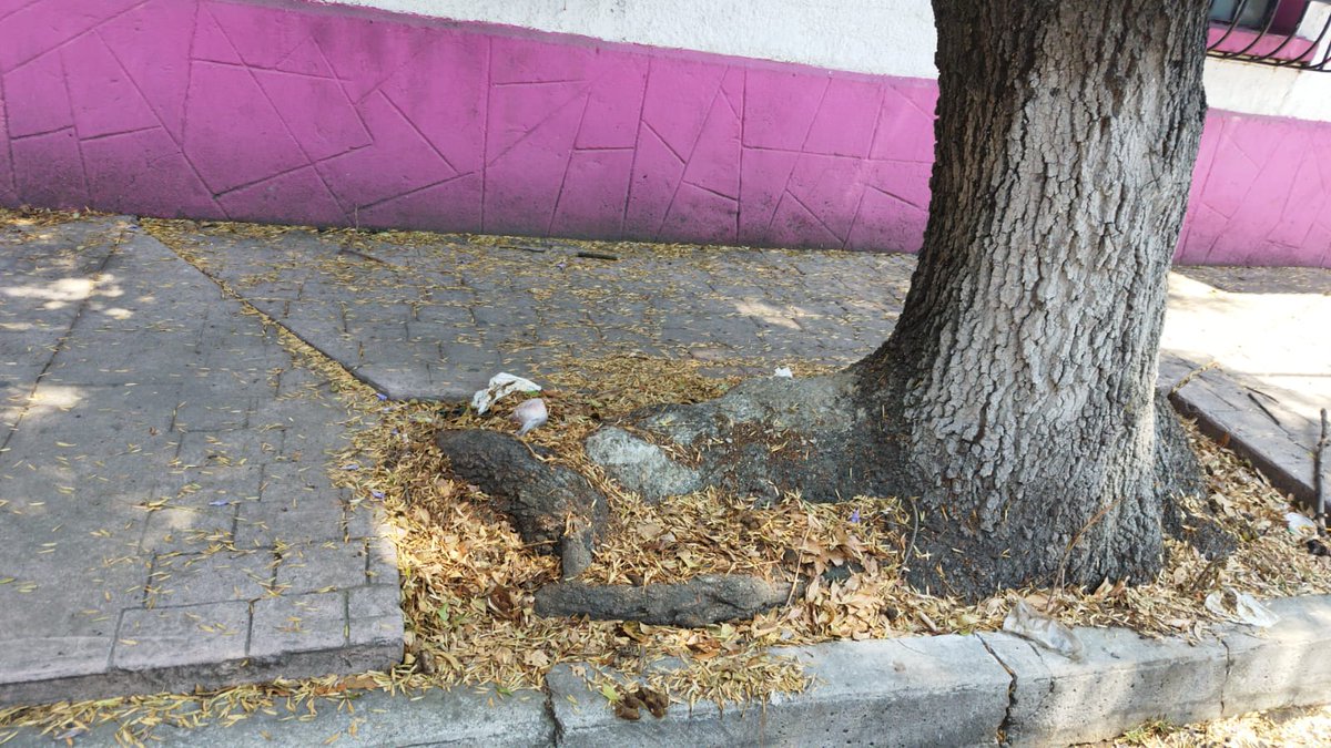 Ruben Rebollo tweet media