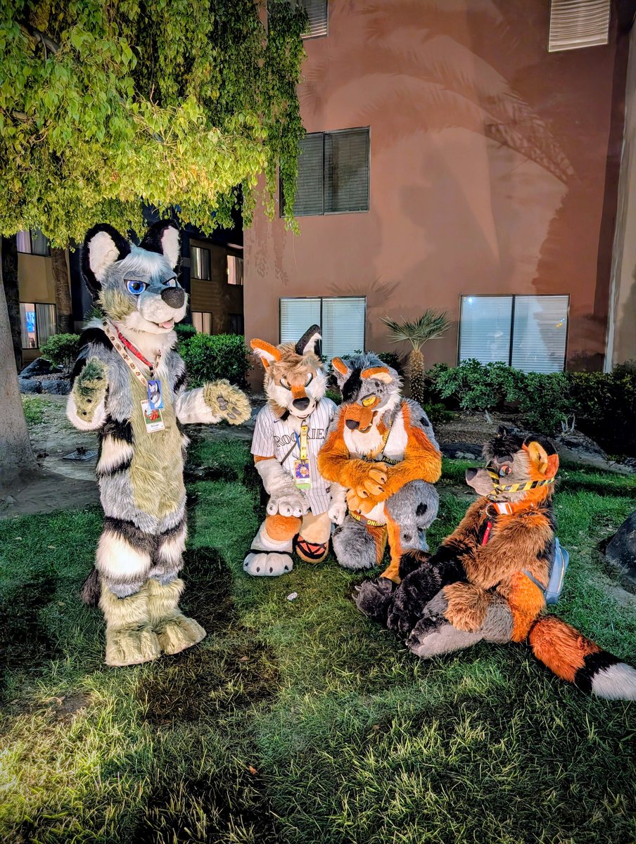 near 🦊🐕‍🦺 🔜 FWA tweet media