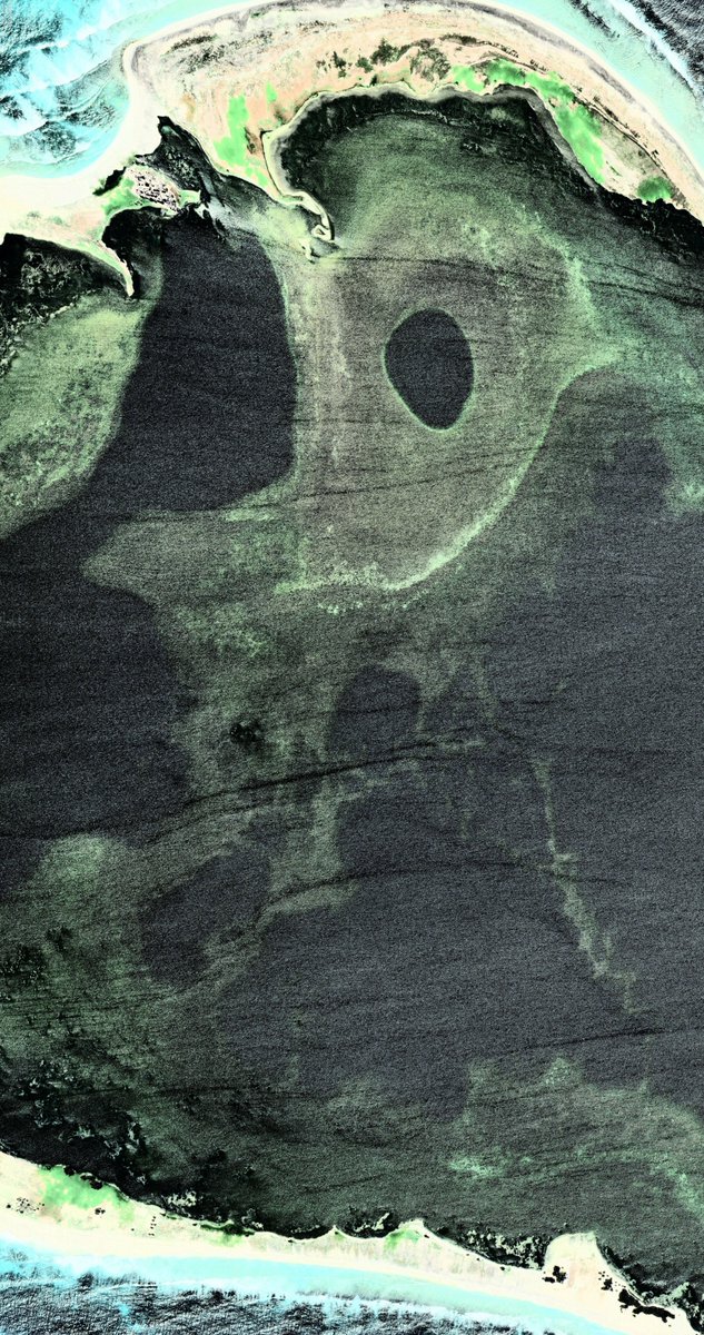 Teleported tweet media