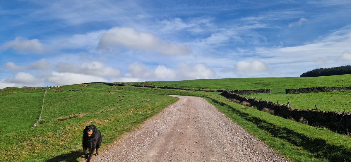 Dr. Corinne Scott tweet media