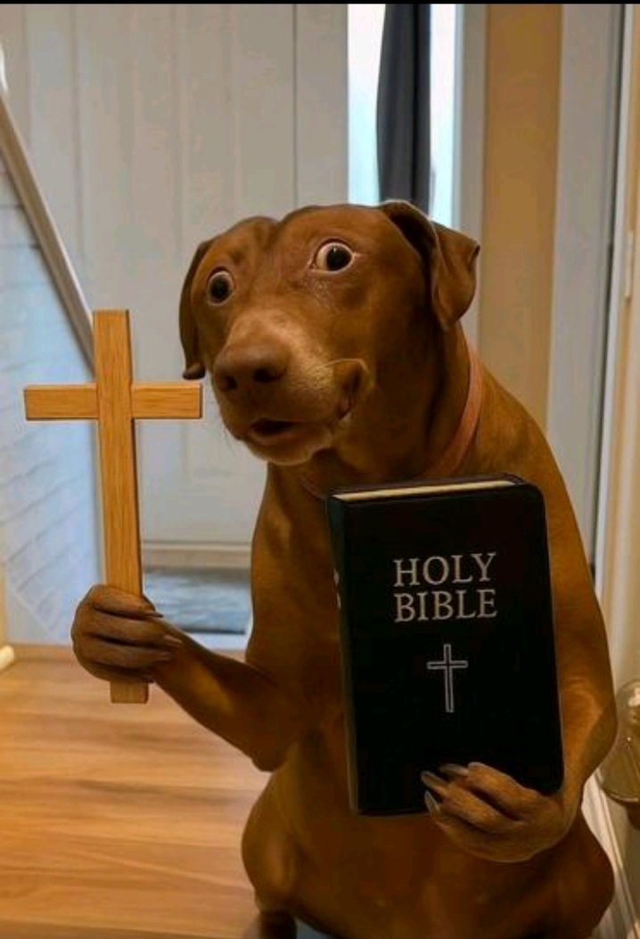 𝕵𝖆𝖐𝖊 𝖊𝖑 𝖋𝖚𝖊𝖌𝖔✨ tweet media