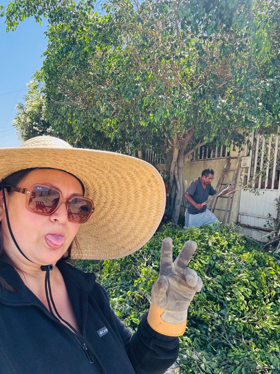 cibertaria tweet media