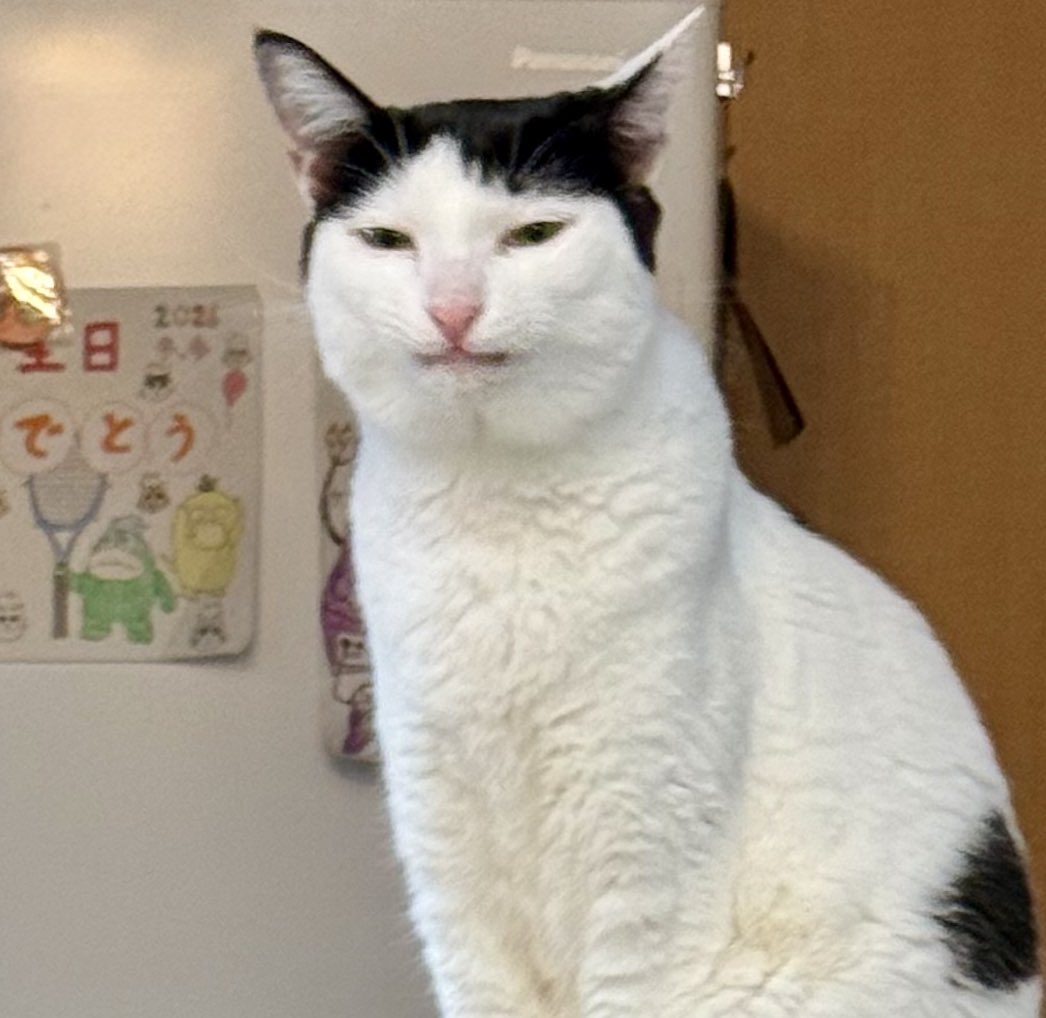 Pvjunior tweet media