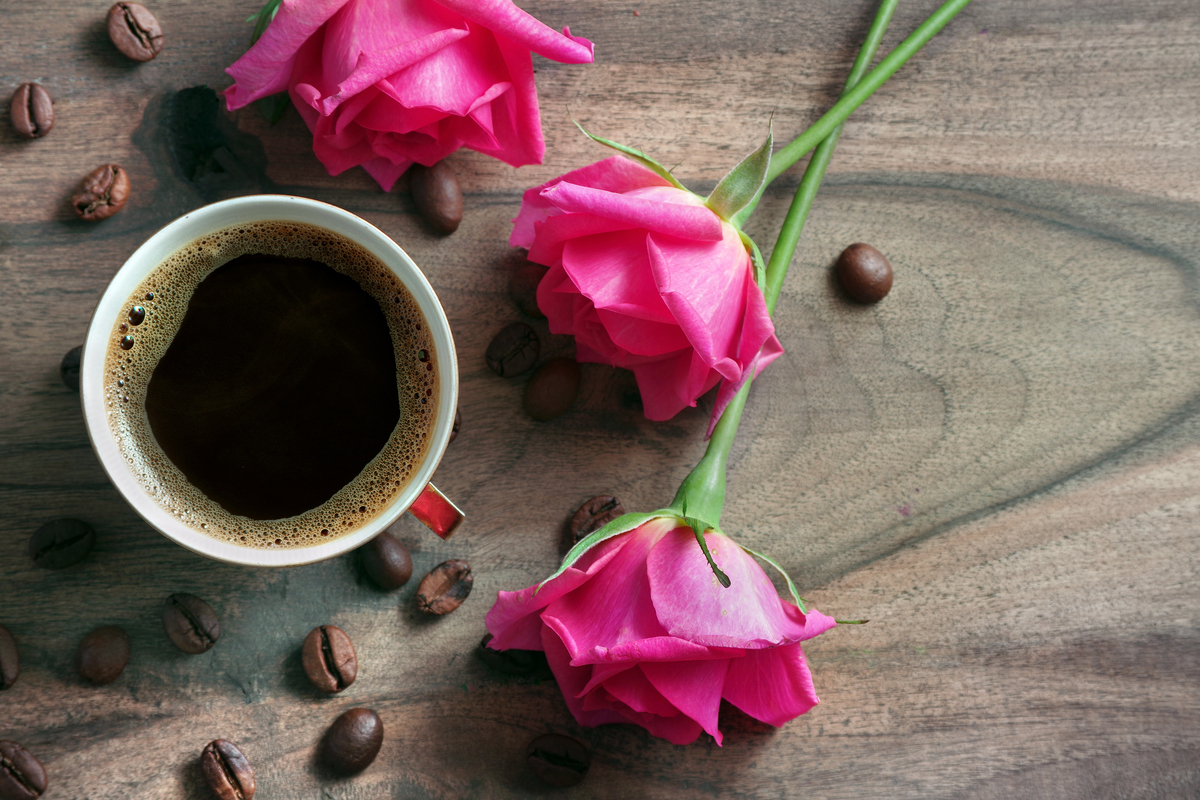 Chris Marges tweet media