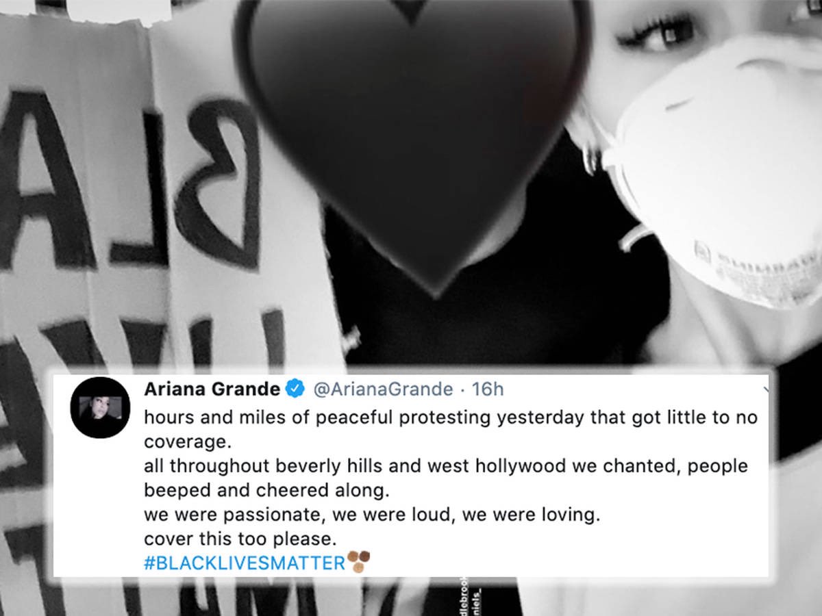 ️milana tweet media