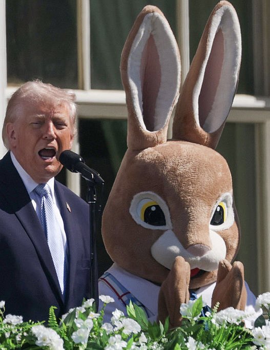 Carol Sturka y su Sonido Lasser tweet media