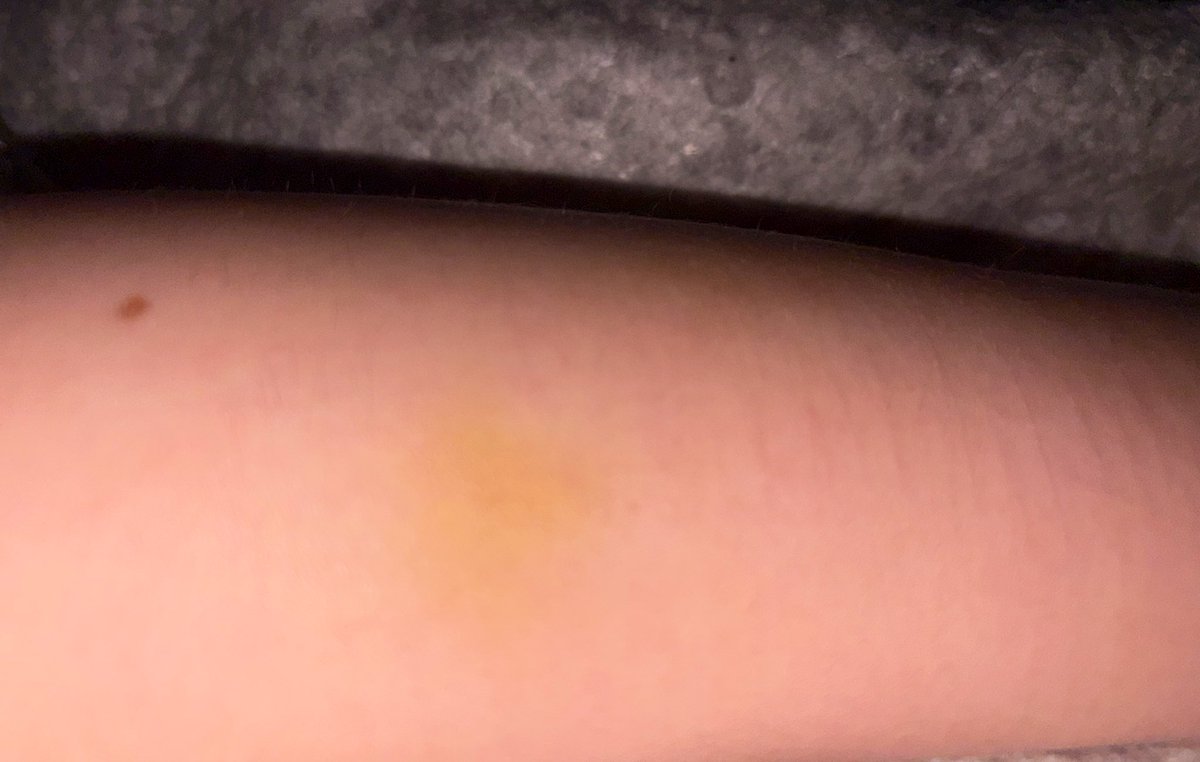 rav // ragatha of shedtwt !! tweet media