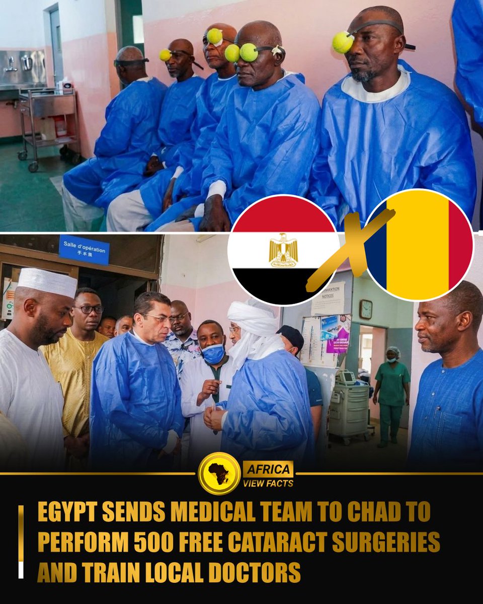 Africa View Facts tweet media