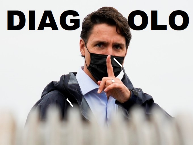 NOW CANADA tweet media