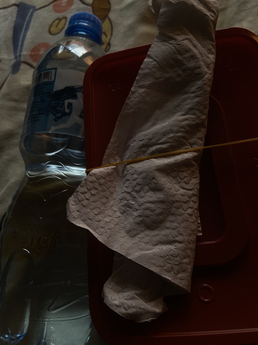 Haleemah tweet media