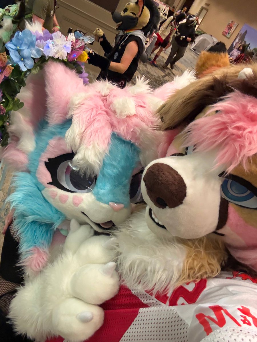 pawki ➡️ TFF tweet media