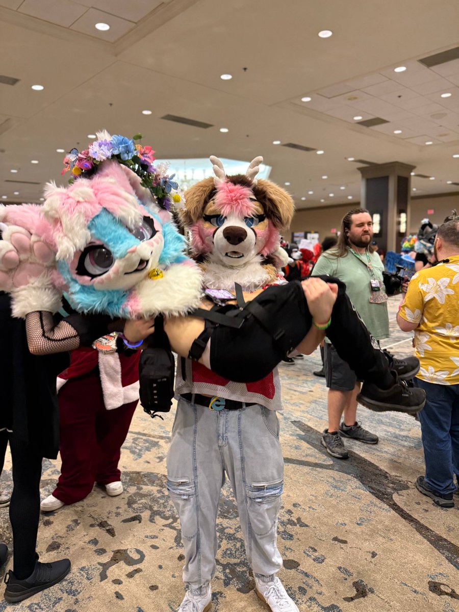 pawki ➡️ TFF tweet media