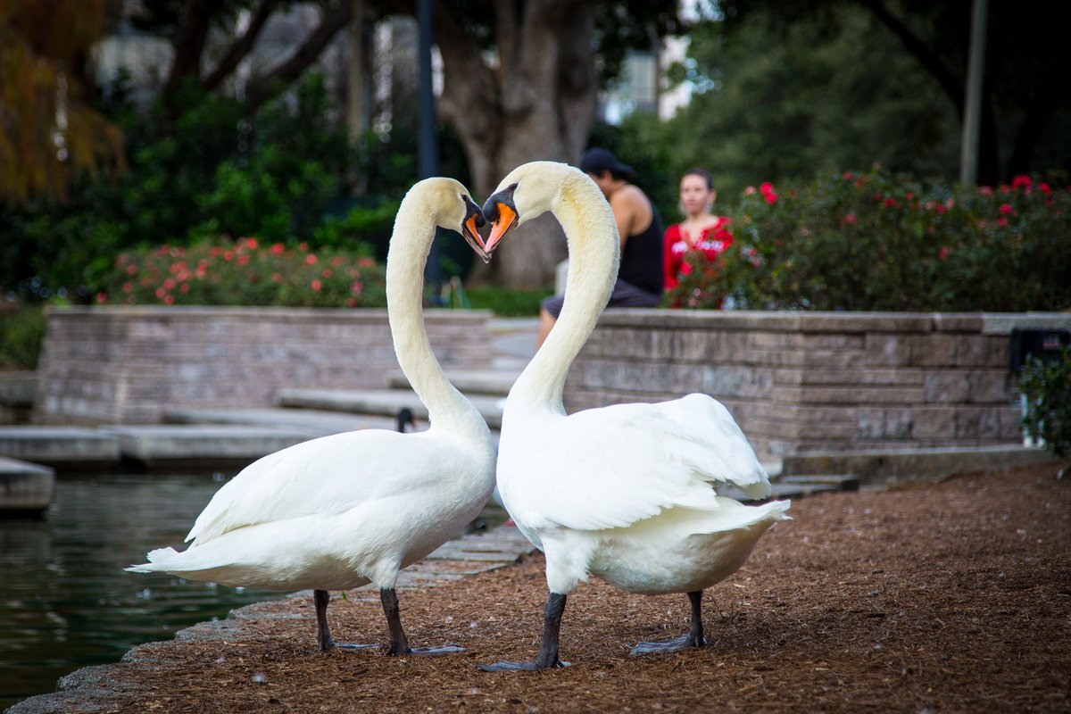 John Getchel tweet media