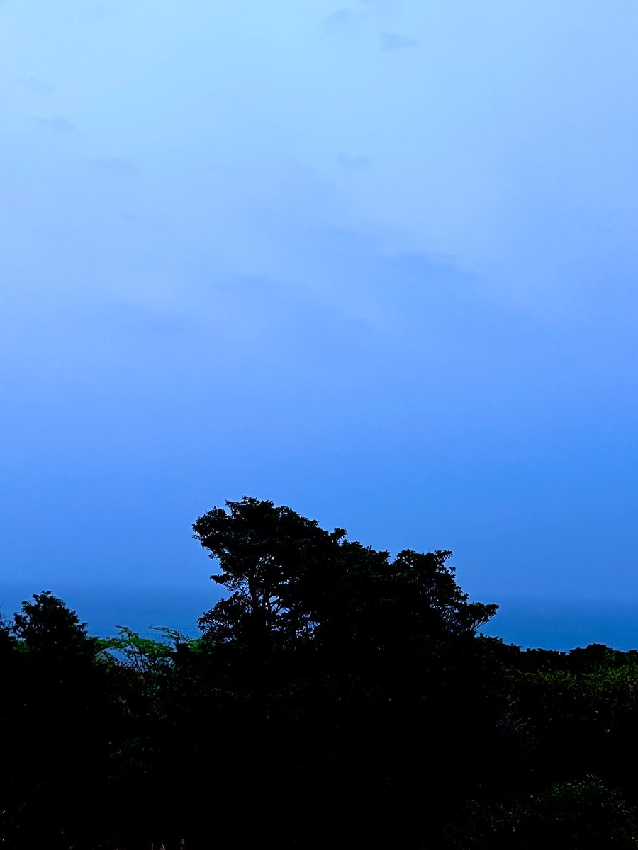 🌸同感🌸 tweet media