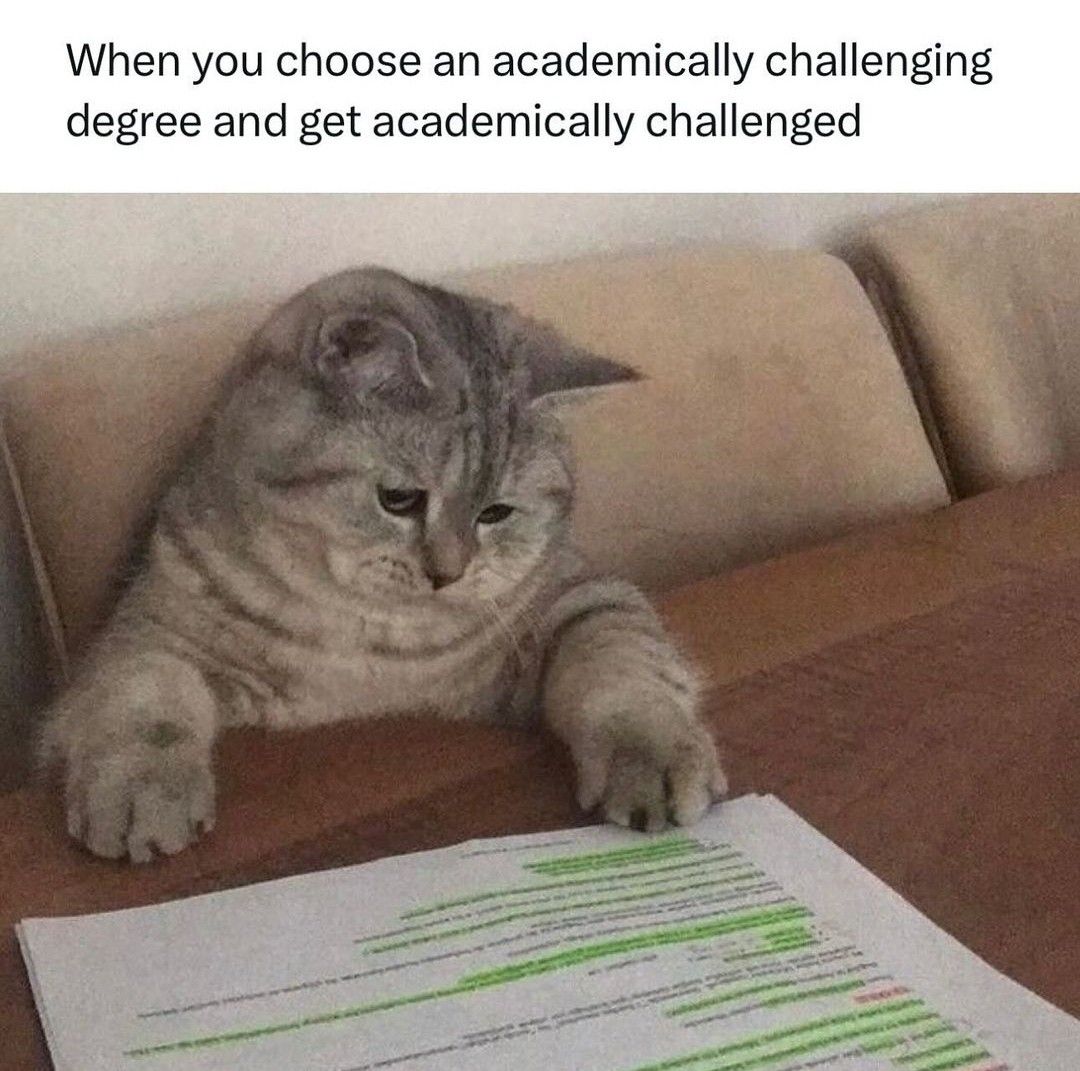 LisaEssay's tweet photo. Chose the hard degree and now the assignment is three days late. DM us before you spiral. 

#essayhelp #collegestudent #universtiylife #OhioState #PennState #UTAustin #TAMU #TTU #UNT #UTSA #UHouston #UCLA #UCSD #UCBerkeley #CSULB #SDSU https://t.co/sxH5acA44n