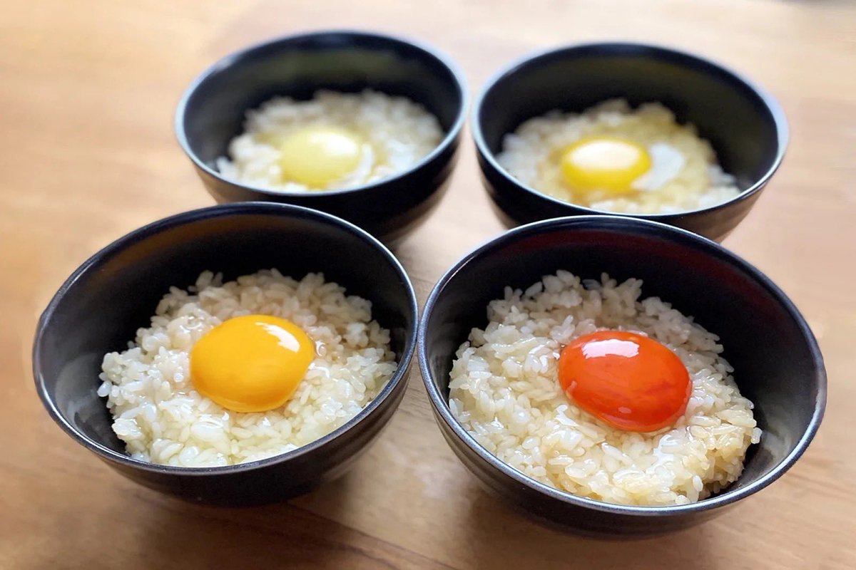 にゃんちゅう tweet media