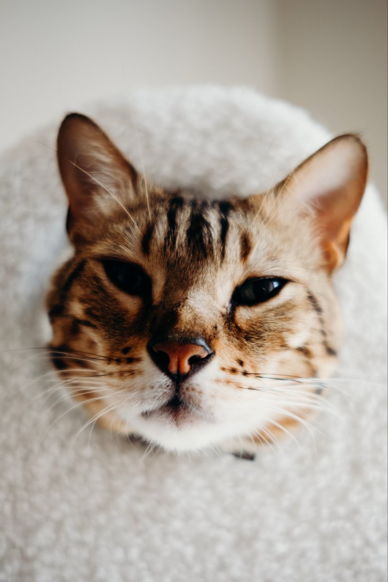 Gina Darling tweet media