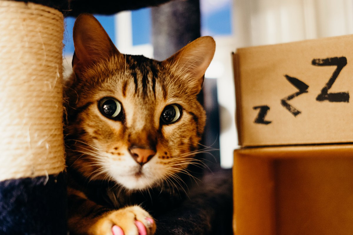 Gina Darling tweet media