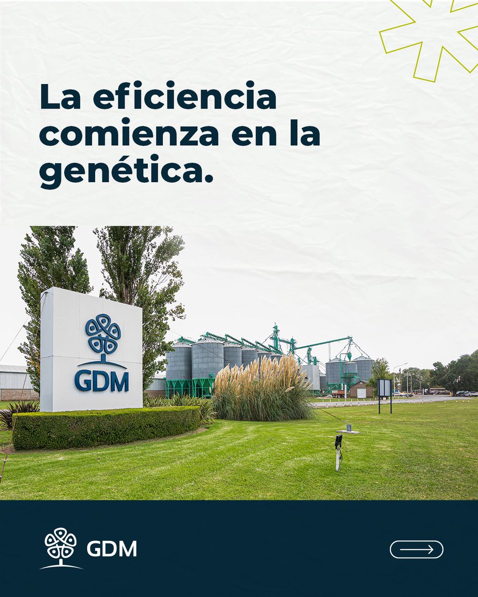 GDM tweet media