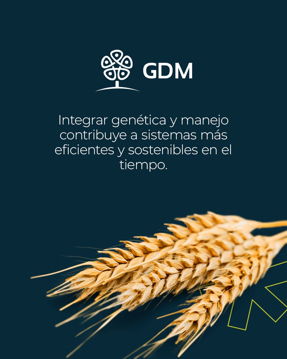 GDM tweet media