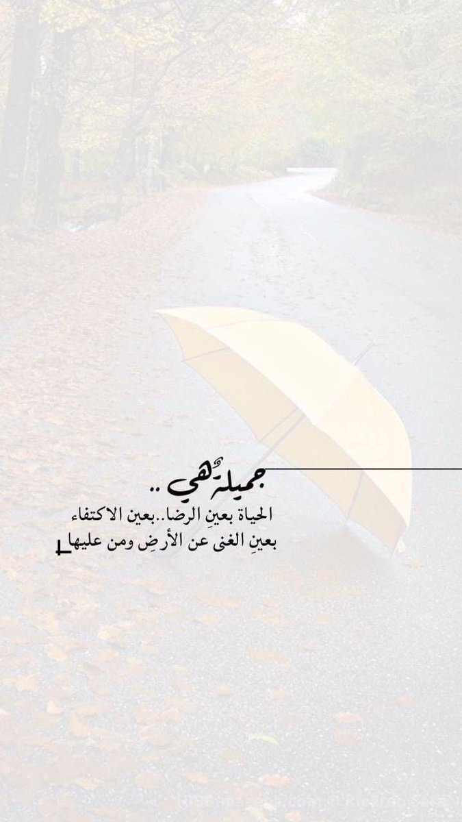 Tiger🐅 tweet media