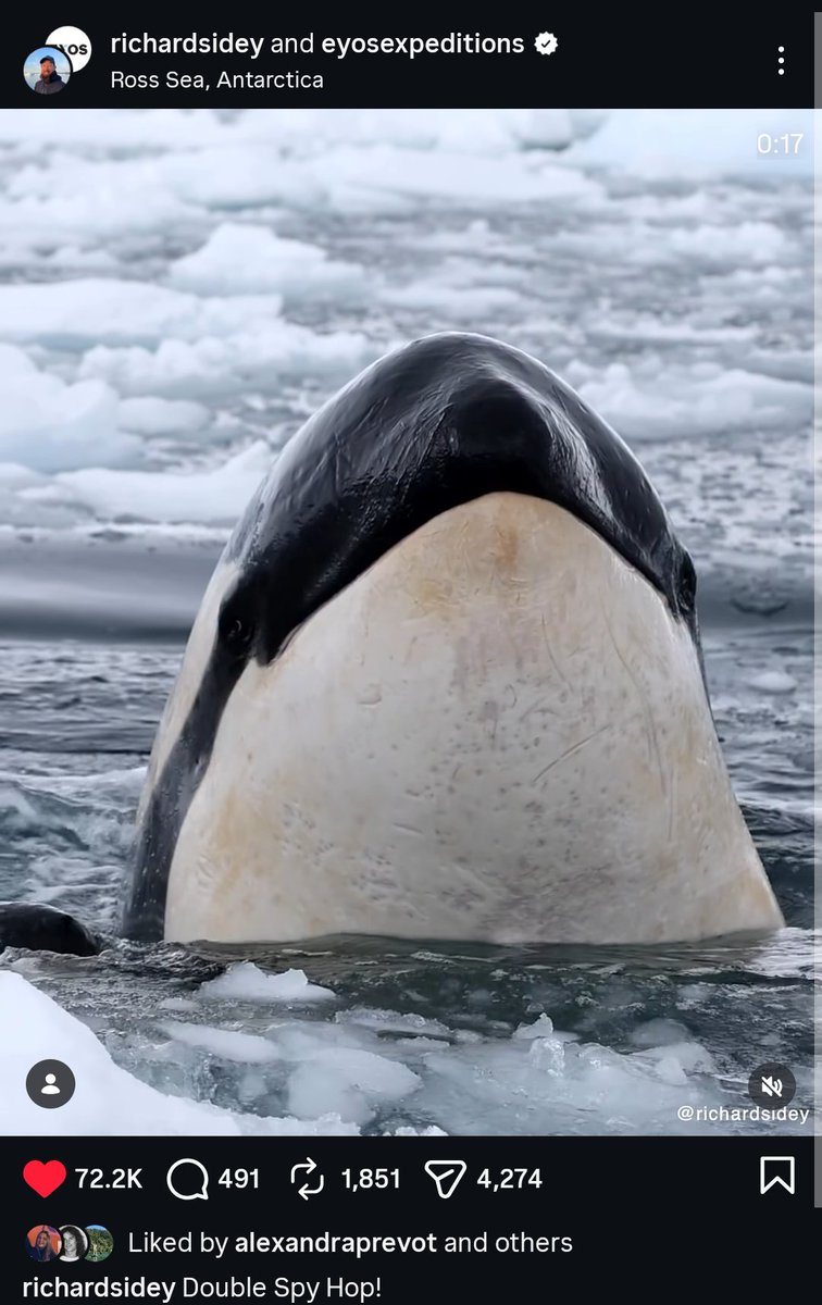 XANDER GEOGRAPHIC 🏕️ tweet media