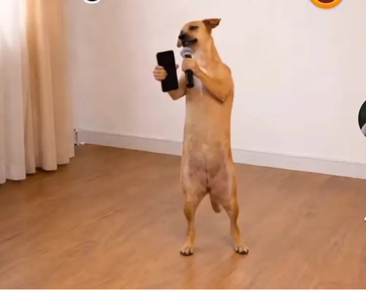 Kave Vitalis💰 tweet media