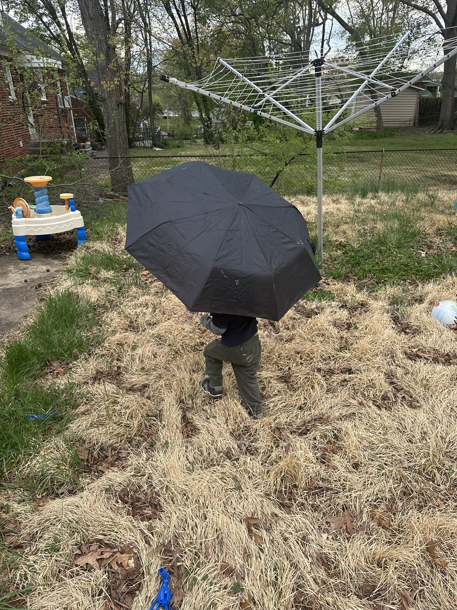Emotional support umbrella
