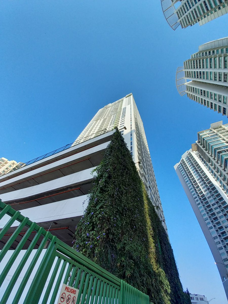 🇵🇦Rodry Moreno tweet media