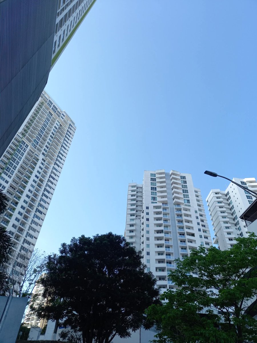 🇵🇦Rodry Moreno tweet media