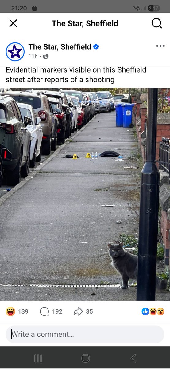 Debra Hope tweet media