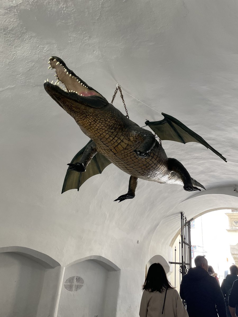 Hiroaki Goto 後藤博亮🇨🇿🎻 tweet media