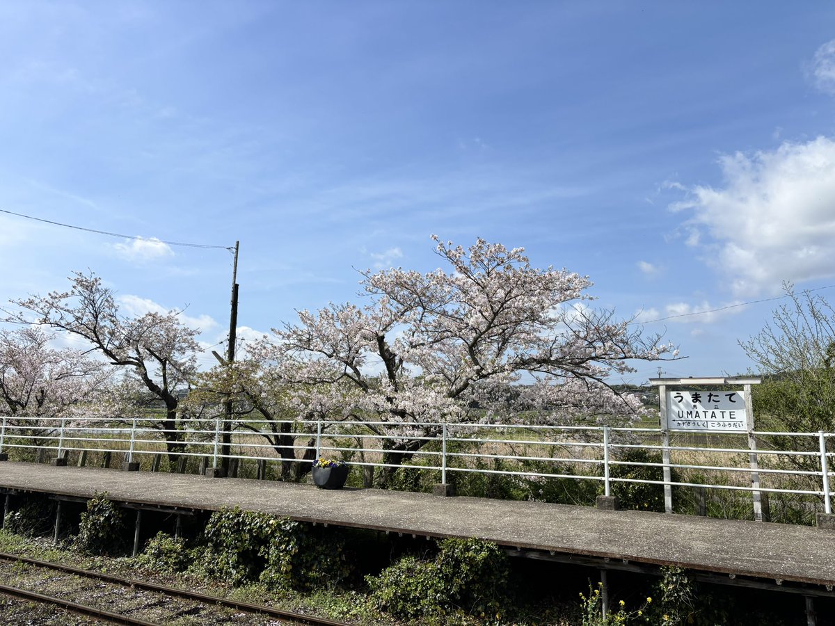 エリック🌺ゆるニート大家 tweet media