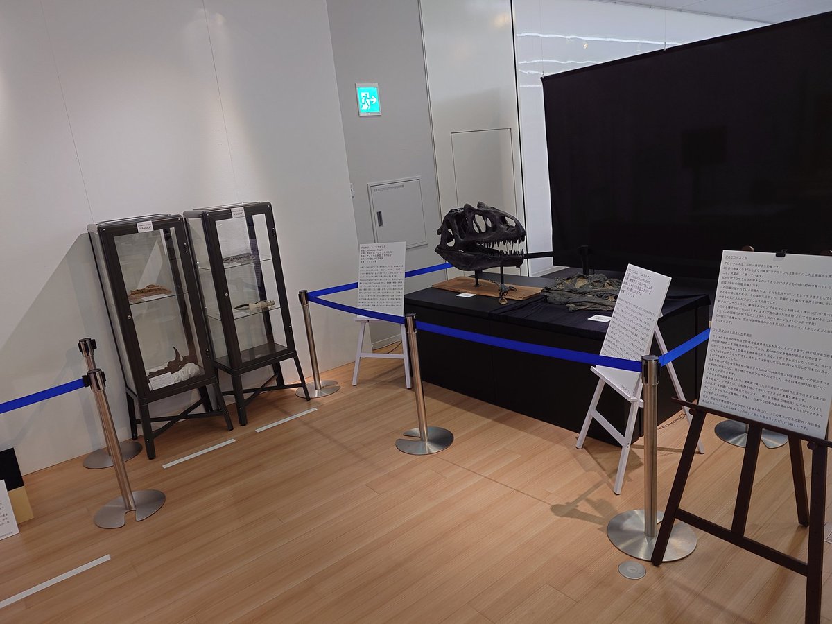 たわちゃん tweet media