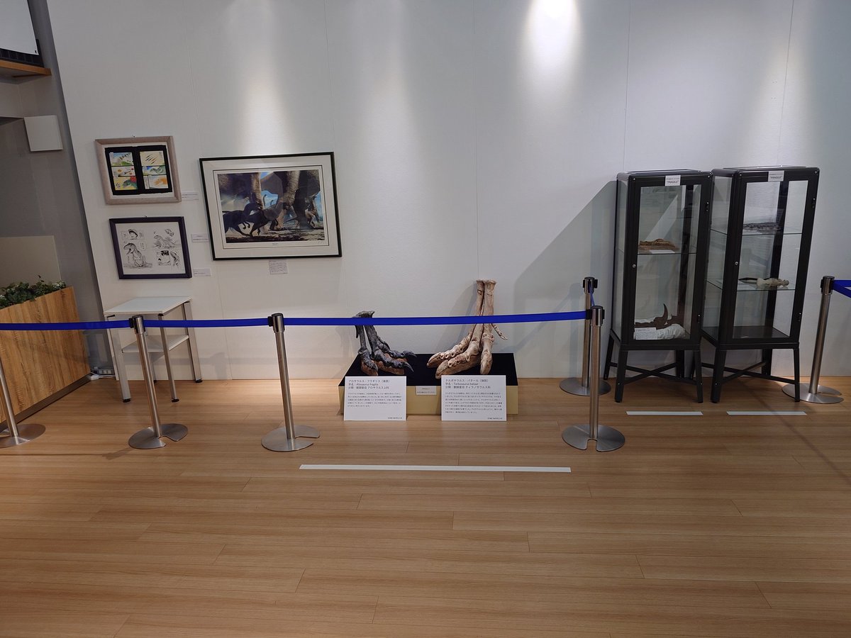 たわちゃん tweet media