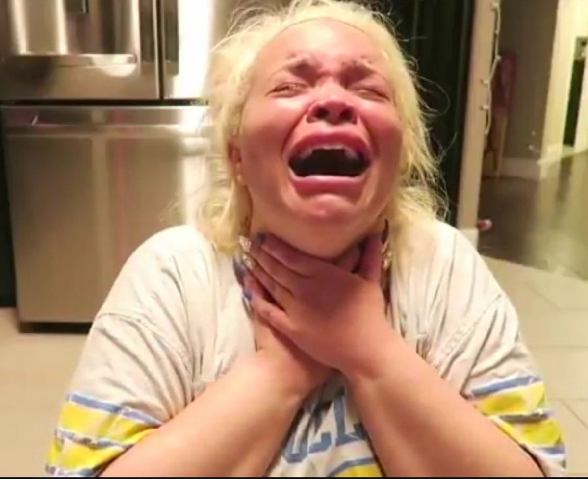 evelina🦈ྀི tweet media