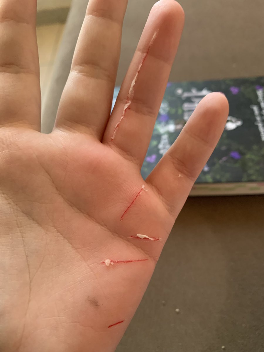 bella ♱ tweet media