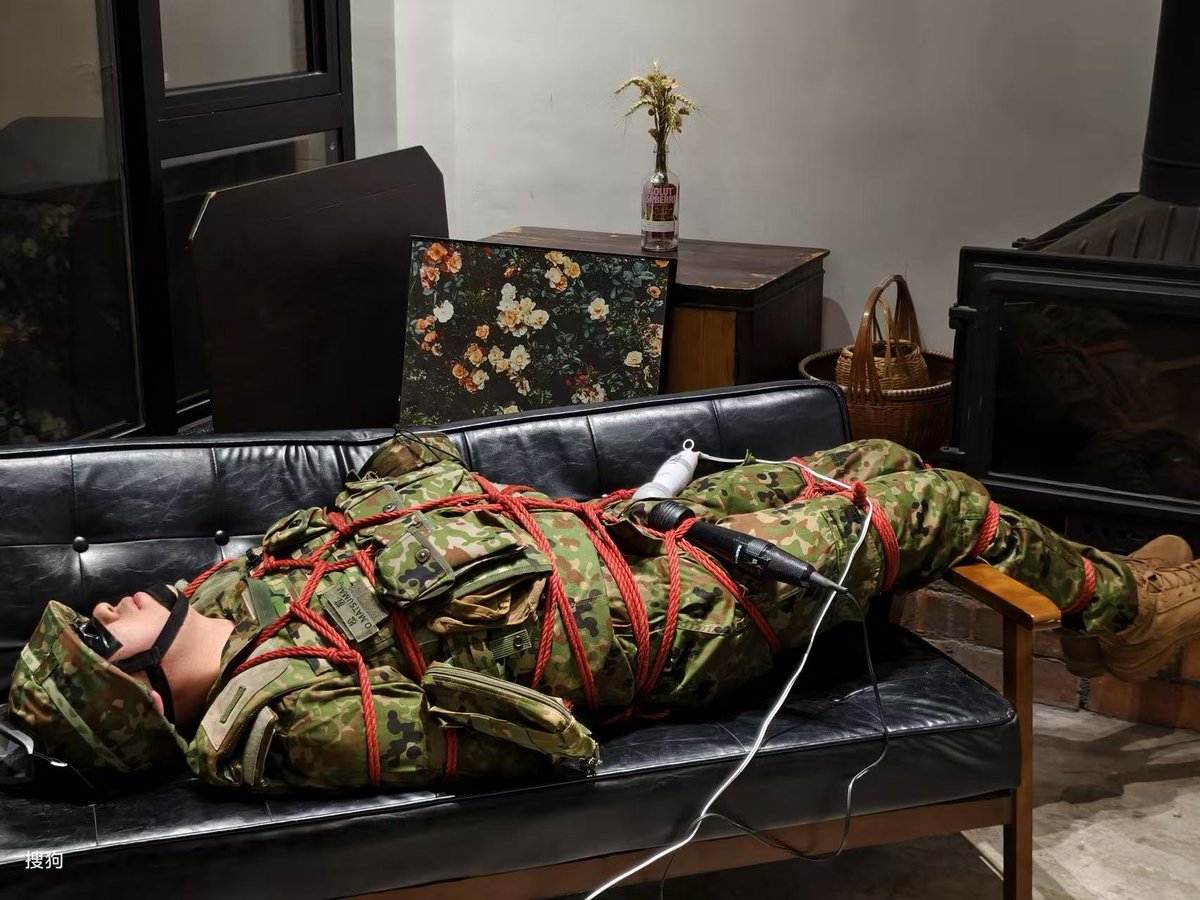 Alpaca羊驼 tweet media