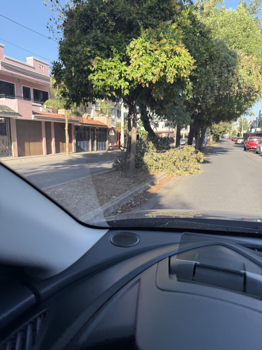 Manuel Fonseca Contreras tweet media