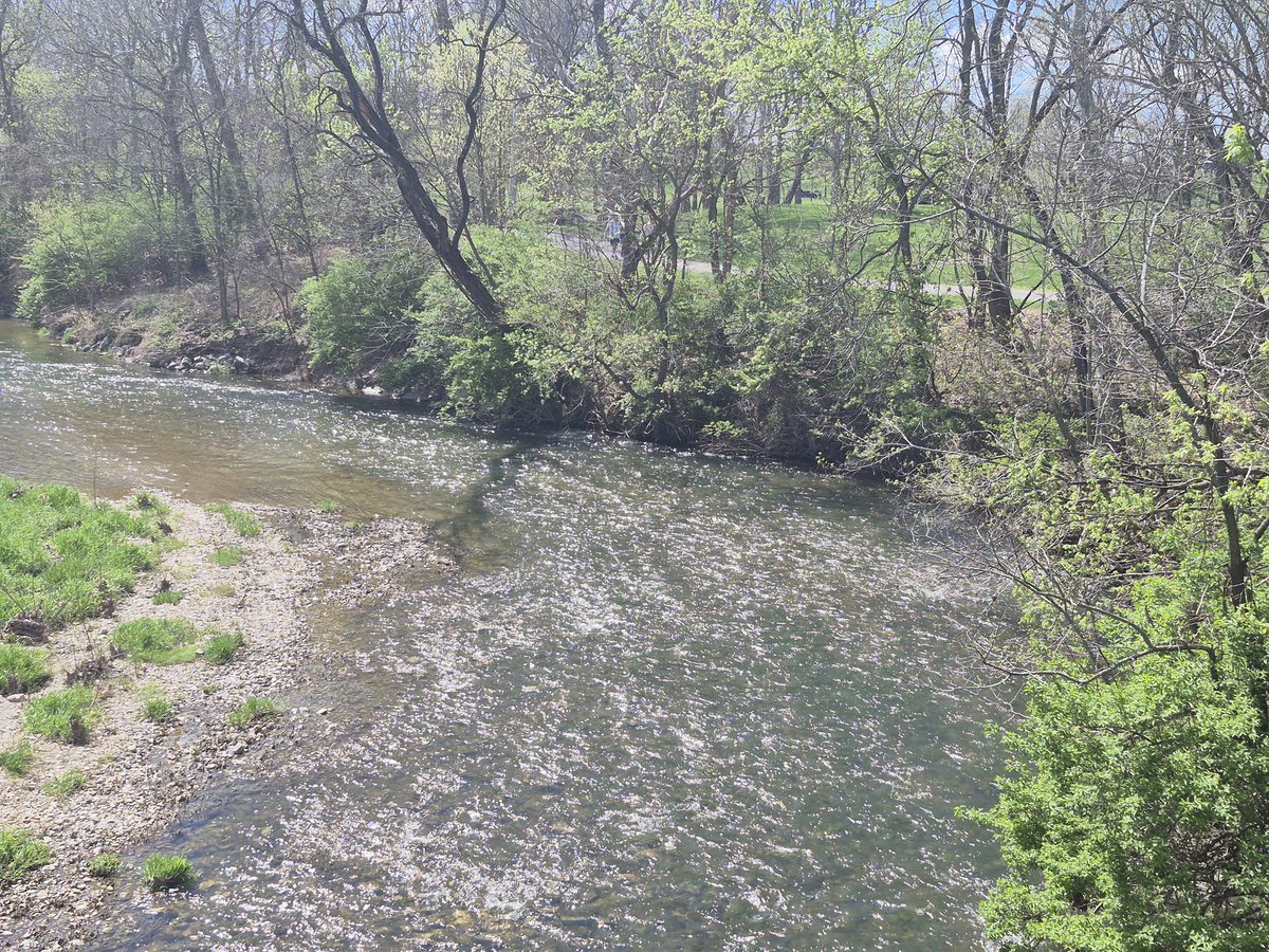 😇🇺🇸Angel🇺🇸😇 tweet media